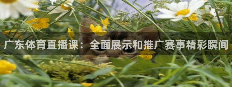 广东体育直播课：全面展示和推广赛事精彩瞬间