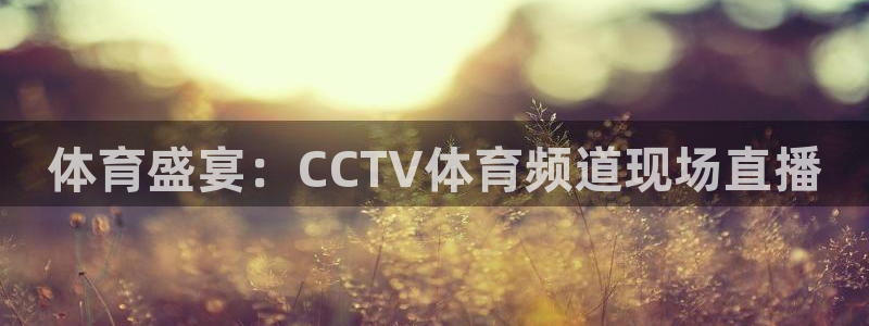体育盛宴：CCTV体育频道现场直播